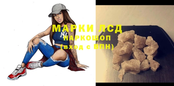 сатива Вяземский
