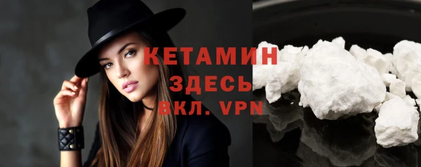 сатива Вяземский