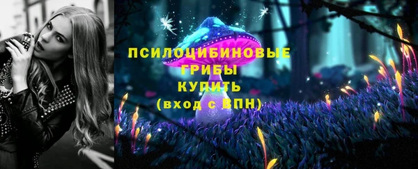 сатива Вяземский
