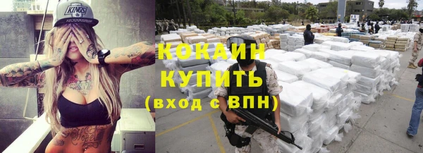 сатива Вяземский