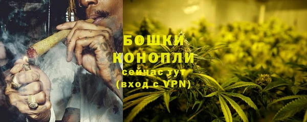 гидра Вязники