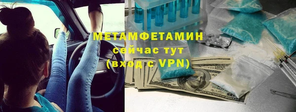 сатива Вяземский