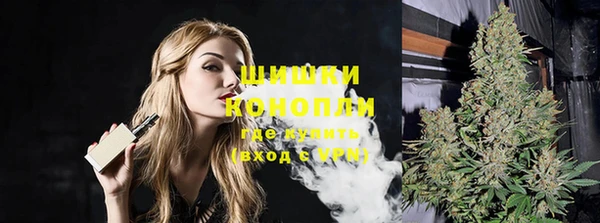 гидра Вязники